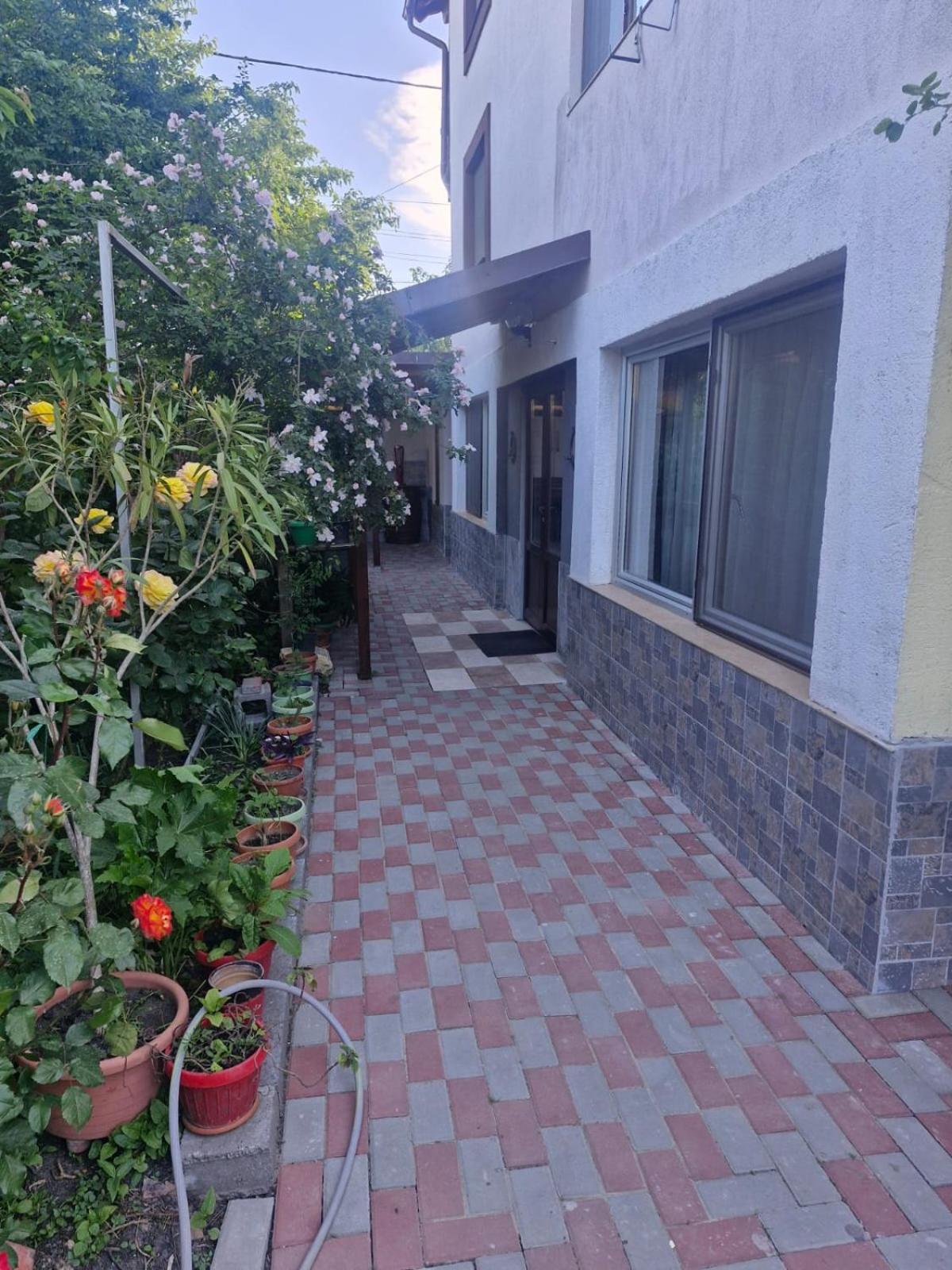 Hotel Casa Donau Delta Sulina Exterior foto